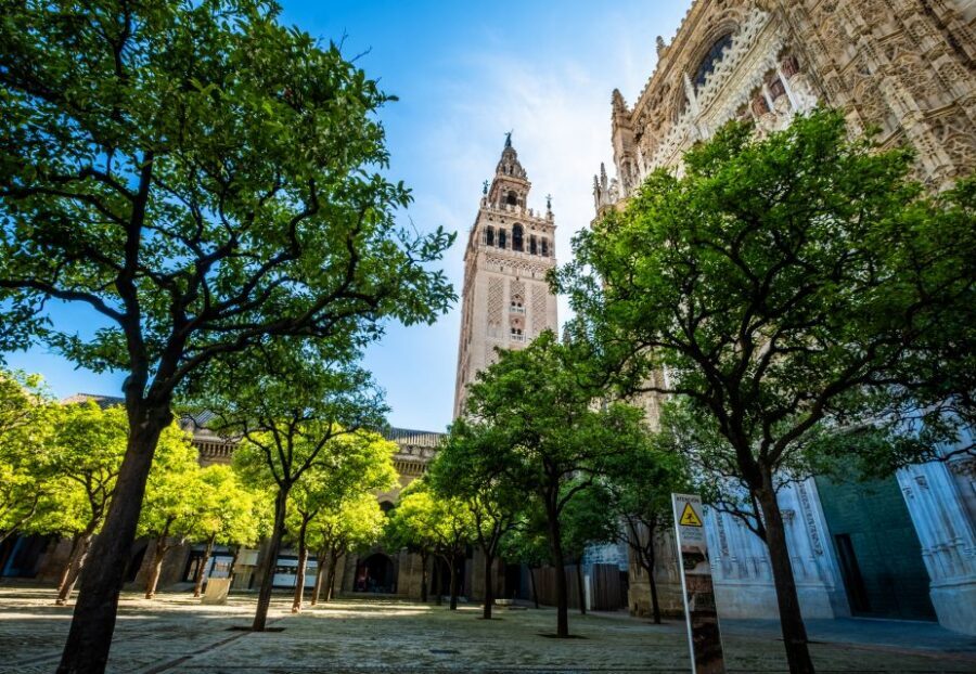 Seville: Small-Group Cathedral and Giralda Tour with Tickets - Who This Tour Is Best For