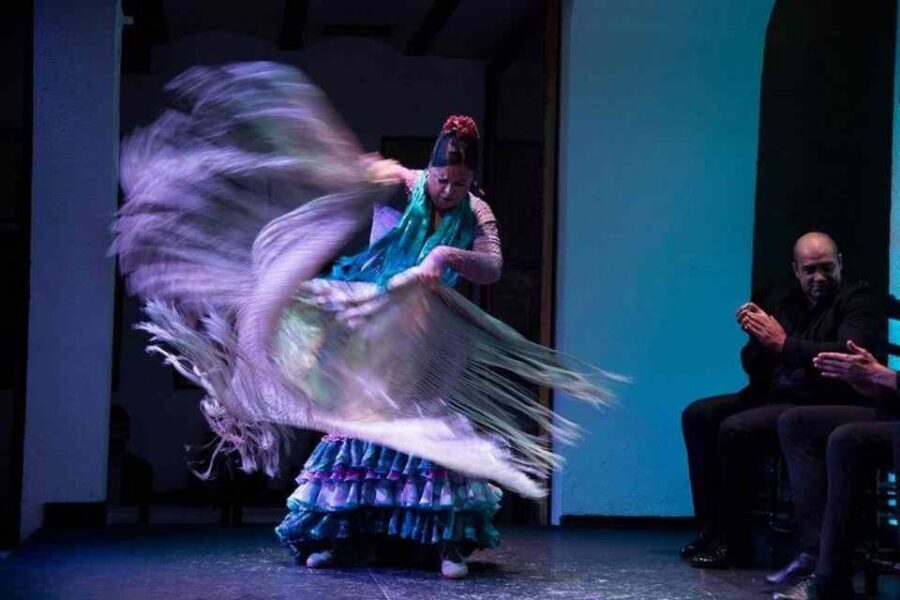 Seville: Tapas Dinner and Flamenco Show - Cozy and Intimate Setup: The Real Value of “Small Group”