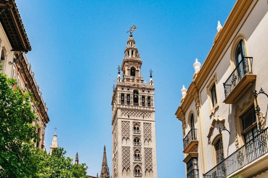 Seville: Tapas, Taverns and History Guided Walking Tour - Price and Value: What You’re Paying For at $99