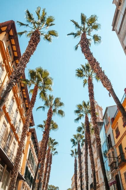 Seville: Transfer to Málaga with visit to Ronda - From Seville Pickup to Ronda’s Cliff-Edge Town Feel