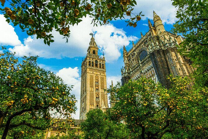 Skip the Line Seville Alcázar, Cathedral & Giralda Guided Tour - Patio de las Doncellas: where the tiles do their magic