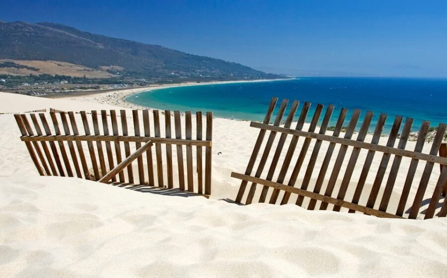 Spain's Best Beaches: Day-Trip from Seville - Ruta del Toro return drive: bulls, sun, and a scenic breather