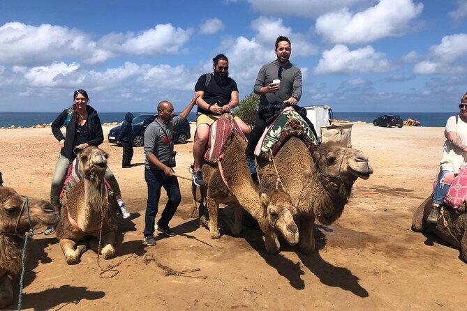Tangier Day Trip from Seville - FAQ