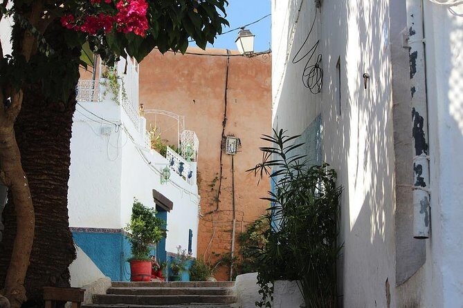 Tangier Day Trip from Seville with Lunch Included & Local Guide - Ferry Crossing on the Return: Calm, Stamps, and Not Missing the Boat