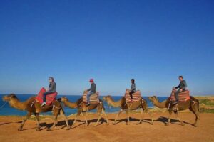 Tangier in Morocco private tour from Seville all inclusive - Kasbah and the Medina: Souks, Tea Stops, and How to Handle Shopping Pressure