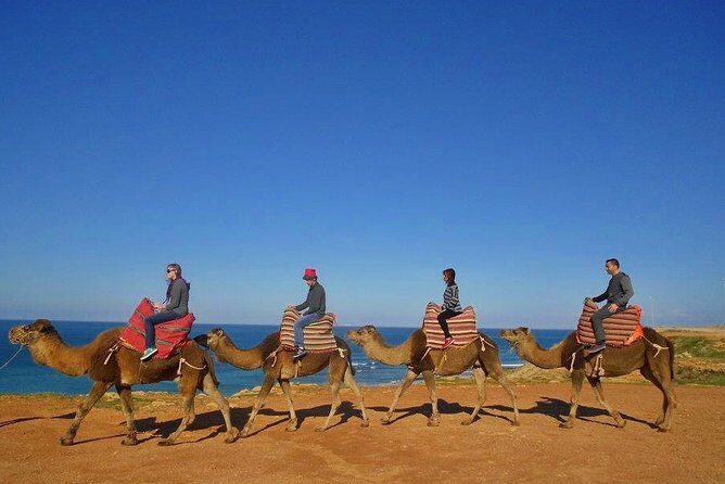 Tangier in Morocco private tour from Seville all inclusive - Kasbah and the Medina: Souks, Tea Stops, and How to Handle Shopping Pressure