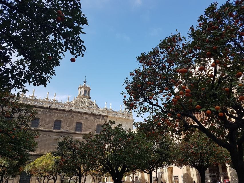 The Best of Seville: Private 2,5 Hour Walking Tour - Seville Cathedral and Alcázar: understanding the big visual story