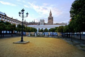 The Cultures of Seville Walking Tour - Meeting at Plaza del Triunfo: Your Starting Point and Your First Clue