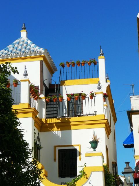 The Cultures of Seville Walking Tour - Fabiola Street and Plaza de la Alfalfa: Where the Center Gets Serious