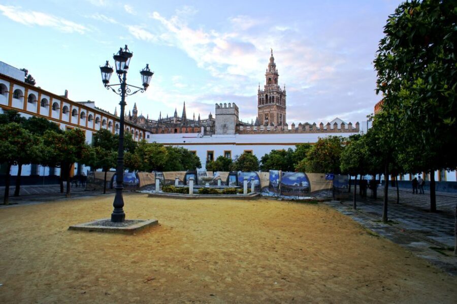 The Cultures of Seville Walking Tour - Meeting at Plaza del Triunfo: Your Starting Point and Your First Clue