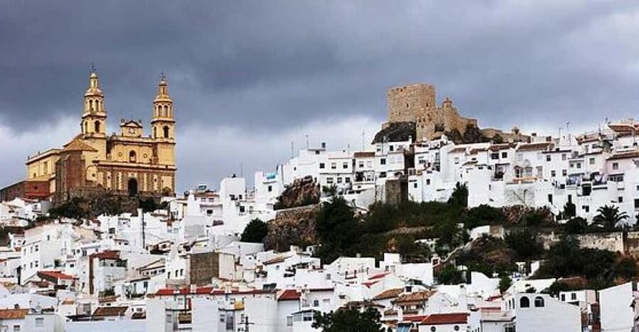 The Villages of Andalusia: Full-Day Trip from Seville - Ronda in the morning: Tajo de Ronda, Paseo de Blas Infante, Plaza España