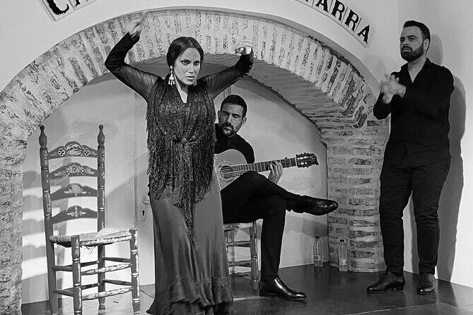 Ticket for Casa de la Guitarra Flamenco Show - Who should book this flamenco show?