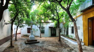 Tour Sevilla de las 3 Culturas - Meeting Point, Walking Pace, and What to Pack