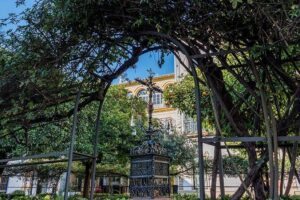 Tour Seville Complete and Jewish Quarter Santa Cruz - Price, time, and group size: the value math