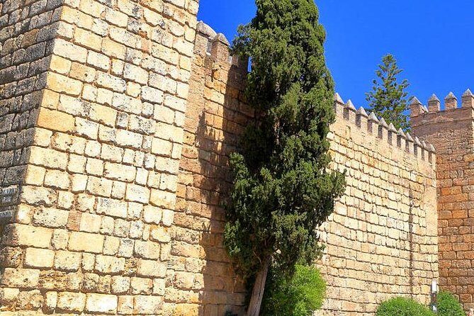 Tour Seville Complete and Jewish Quarter Santa Cruz - What makes the guiding style stand out