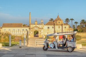 Tour Welcome Seville with Local Guide in Eco Tuk Tuk Private - Price and what $28.66 really buys you