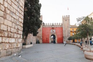 VIP Guided Seville Alcazar Pre-Opening, Cathedral & Old Town - Barrio Santa Cruz: finding the medieval streets without getting lost