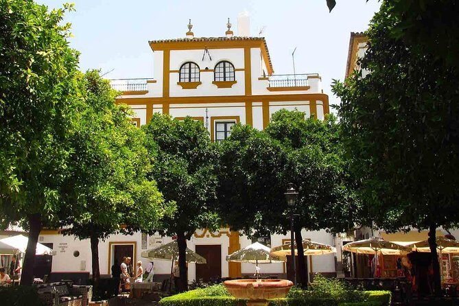 Walking tour through the old Jewish quarter of Santa Cruz. - Practical Notes Before You Go