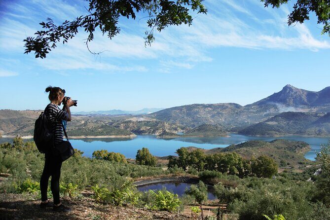 White Villages and Ronda Day Tour from Seville - From Sunflowers and Fields to Las Aguzaderas: Why the drive matters