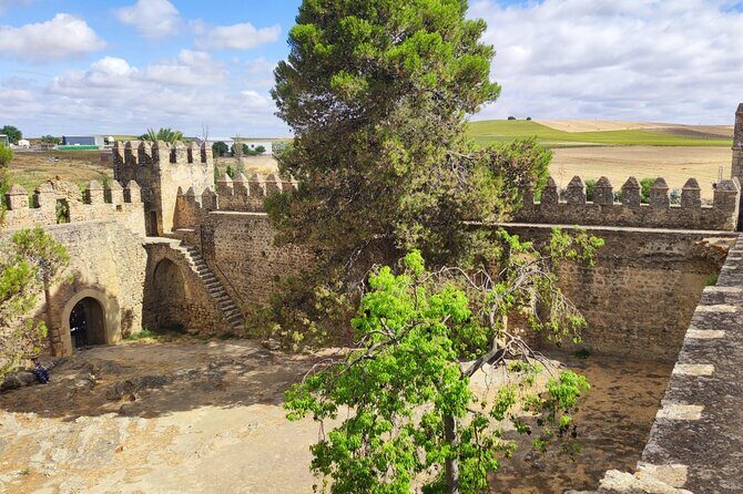 White Villages and Ronda Day Tour from Seville - Walking, weather, and comfort tips that actually matter