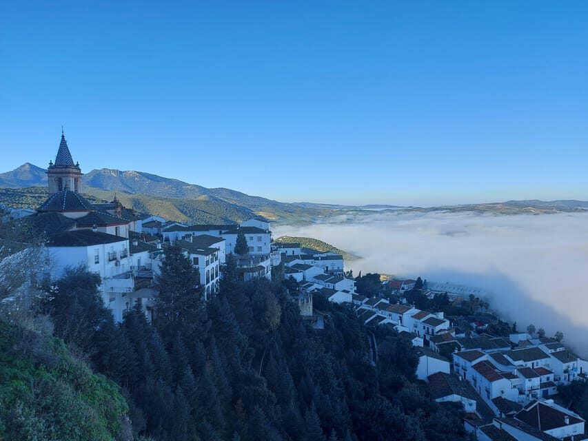 White Villages and Ronda: Day trip from Seville. - Setenil de las Bodegas: the rock-built streets and the food rhythm