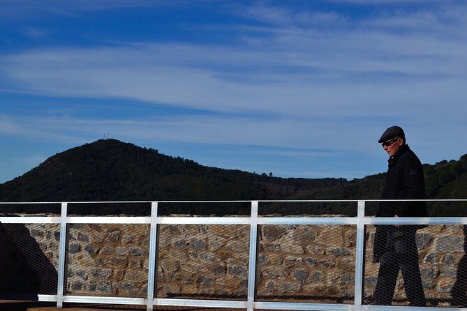 White Villages of Huelva private full day tour - The Iberian pig pasture stop that ties it all together