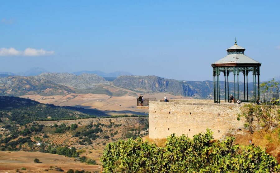 White Villages & Ronda 2-Days Trip & Overnight Stay - An original oil mill stop: learning how olive oil is made