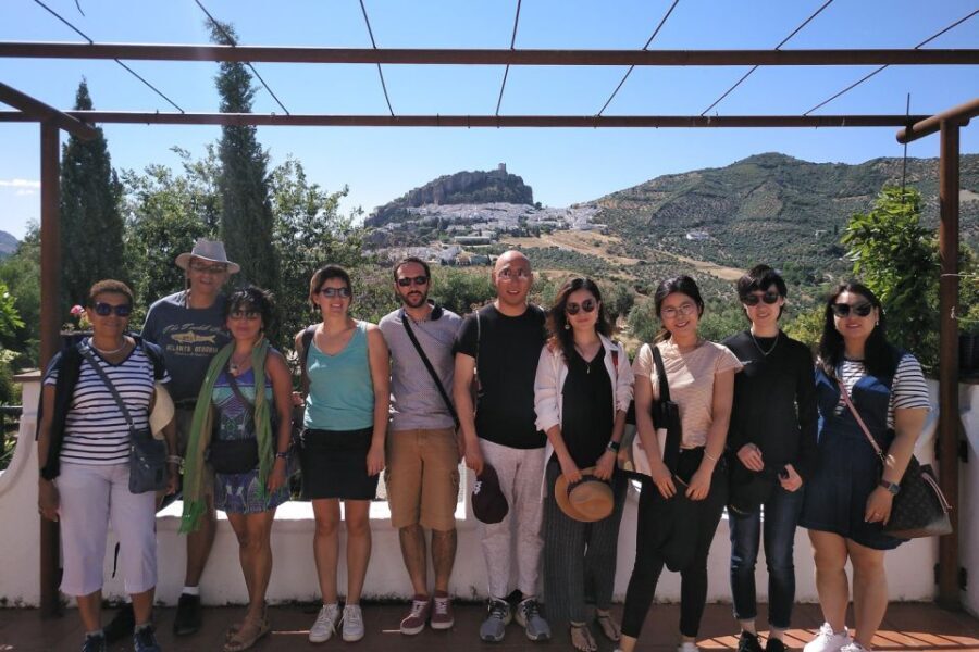 White Villages & Ronda 2-Days Trip & Overnight Stay - Ronda essentials: Puente Nuevo and Alameda Gardens