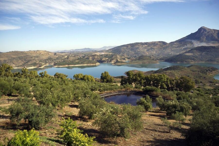 White Villages & Ronda 2-Days Trip & Overnight Stay - Price and value: what $234 buys, and what you pay for separately