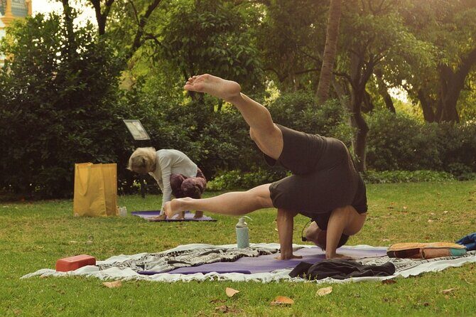 Yoga at María Luisa Park in Seville - The flow: meditation, sun salutations, and a full-body asana sequence