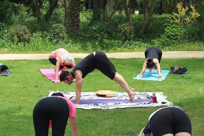 Yoga at María Luisa Park in Seville - English yoga for mixed levels: how to plan your participation