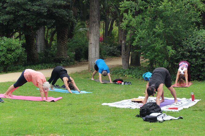 Yoga at María Luisa Park in Seville - Price and value: is $16.82 worth it?