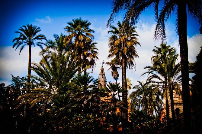 “Your First Day in Seville, the Local Way” - Bike along the Guadalquivir River: a quick view shift with less effort